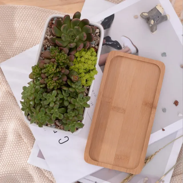 Kerámia Húsos Virágcserepek Minimalista Téglalap Fehér Zamatos Növényi Pot Porcelán Asztali Virág Zakka - Image 5