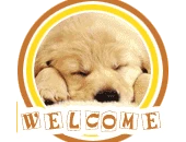 大型犬コスプレキャップ犬誕生日パーティー帽子ペットクリスマス帽子ビッグ中小犬のクリスマスの衣装プリントフリース帽子 Dog Birthday Party Hats Hat Petdog Birthday Aliexpress 大型犬コスプレキャップ犬誕生日パーティー帽子ペットクリスマス帽子ビッグ中小犬のクリスマスの衣装プリントフリース帽子 Dog Birthday Party Hats Hat Petdog Birthday Aliexpress