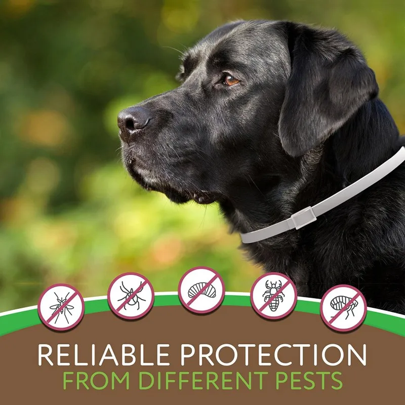 Anti parasites Adjustable Collar For Dogs Mite Protection Collar Fleas
