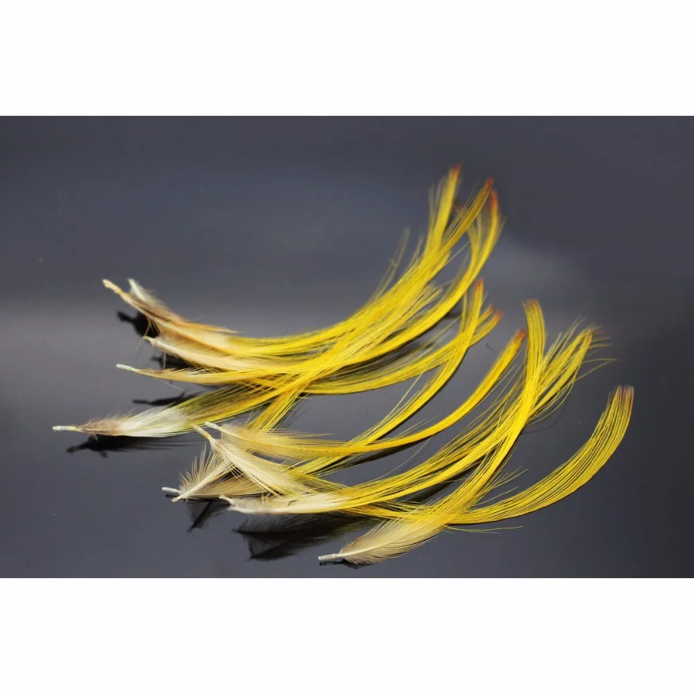 Tigofly 50 Pcs 3 Sizes Natural Golden Color Pheasant Crest Feather Fly Tying Materialsin