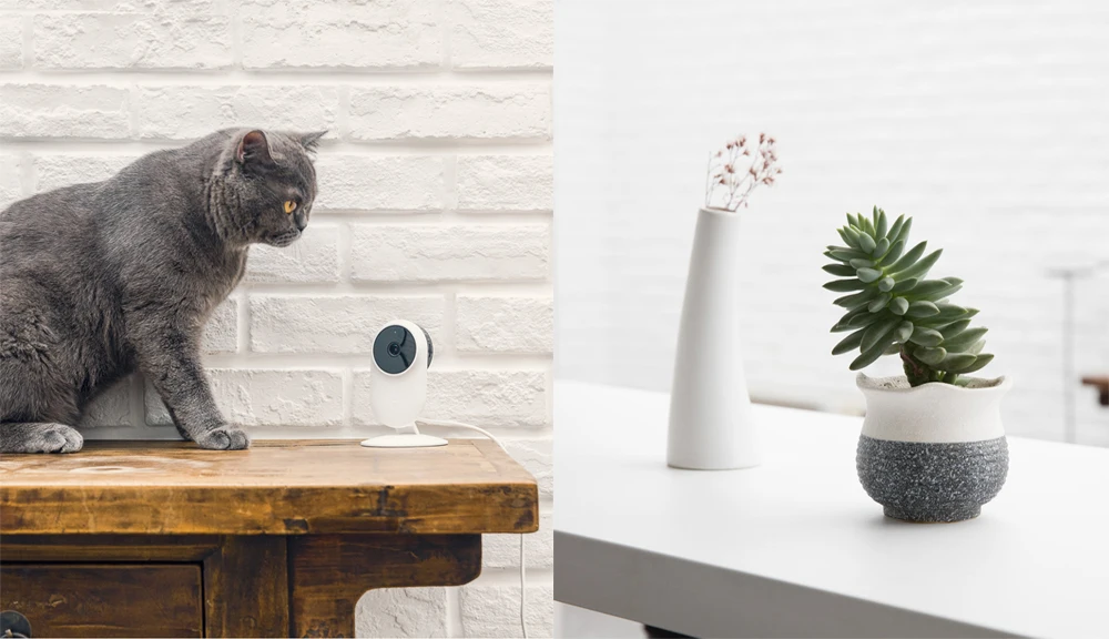 Original Xiaomi Mijia Smart IP Cam 1080P 23