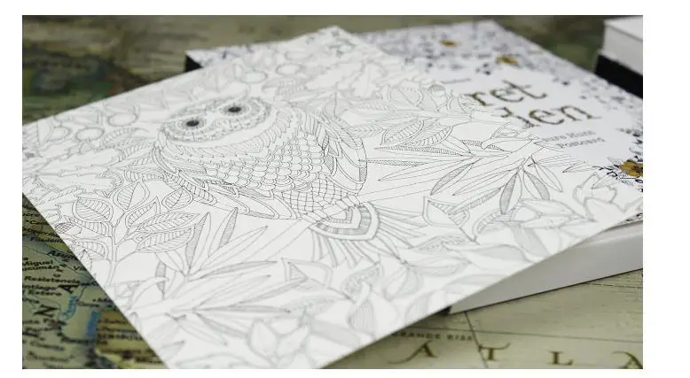 English Edition Secret Garden 30 Sheets Coloring Card Tintage Postcards DIY Painting Drawing Book Colouring Books English Edition Secret Garden 30 Sheets Coloring Card Tintage Postcards DIY Painting Drawing Book Colouring Books