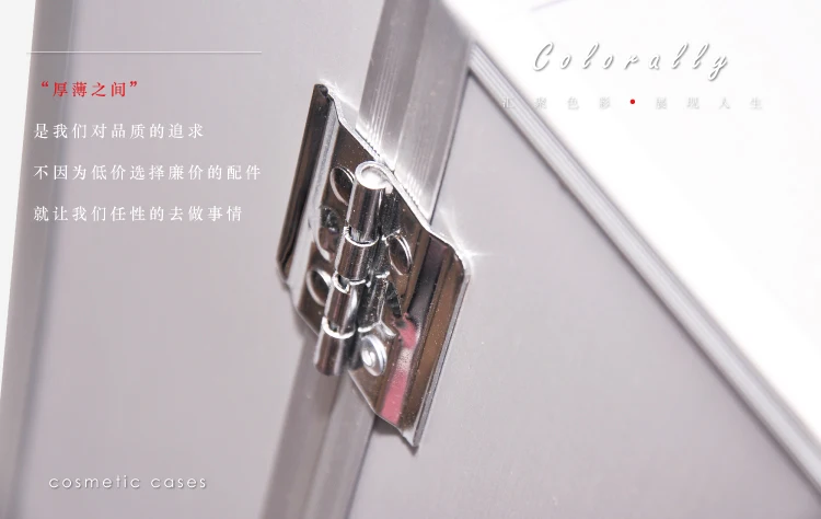 case (4)