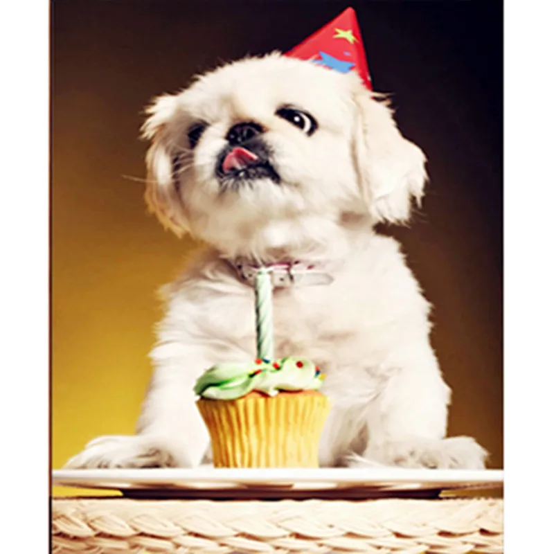 С днем рождения картинки с собачкой. С днём рождения с животными. День рождения собаки. Открытка с днём рождения с собачкой. Открытки с др с собаками.