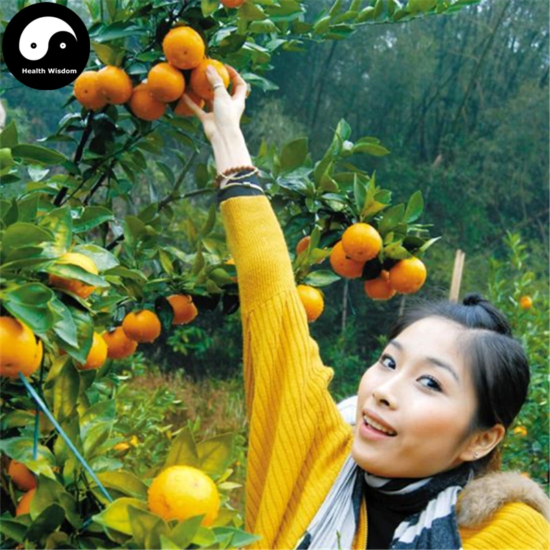 

Buy Gong Orange Fruit Semente 200pcs Plant Citrus Tree For Fruit Sweet Orange