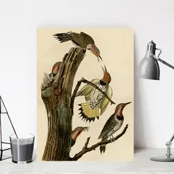 DPARTISAN дропшиппинг JJA-37 Винтаж золотой Крылатый Дятел птица печати стены картину номер украшения без рамки живопись