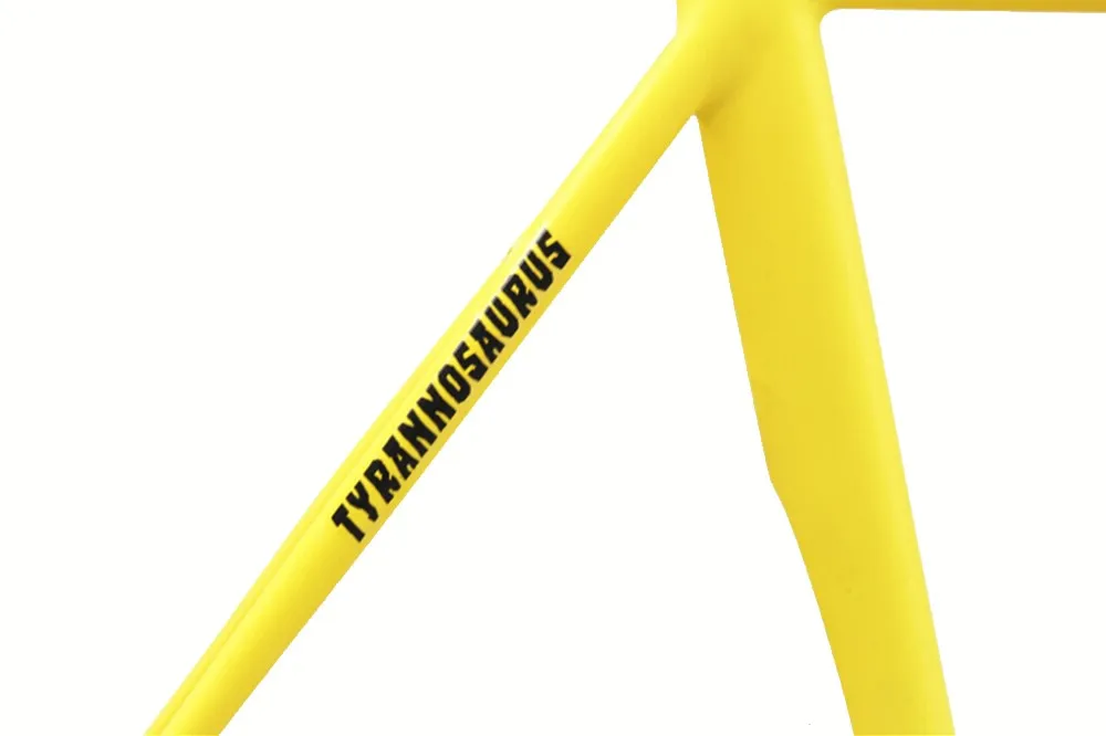 Discount fixed gear bike frame 54cm 58cm 60cm TYRANS T1 track FRAMESET TRACK BIKE frame and fork 7