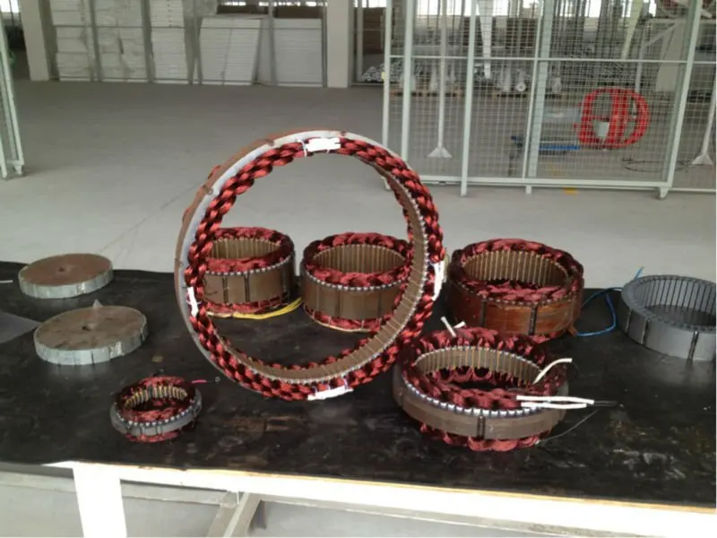 Редкоземельный генератор постоянного магнита 6 кВт переменного тока|permanent magnet