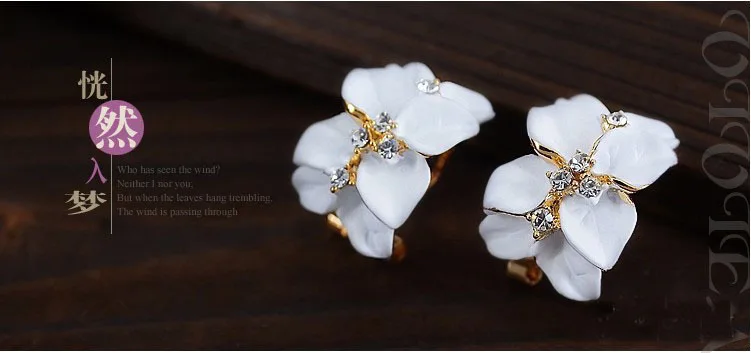 866563291_2100565561