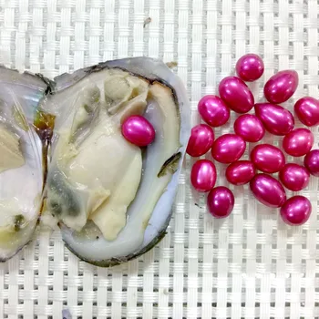 

Colorful Rice Pearls in Akoya Oysters Wholesale 6-7mm Rice Freshwater Pearl Oyster Shell Vacuum Pack Love Wish Pearls FP192