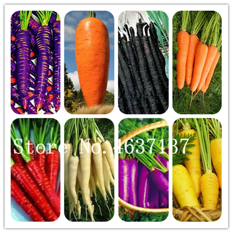 

Hot! 200 Pcs Multi Color Carrot Bonsai, Healthy Fresh Edible Vegetable Fruit Plants Good For Cooking, Heirloom Home & Garden