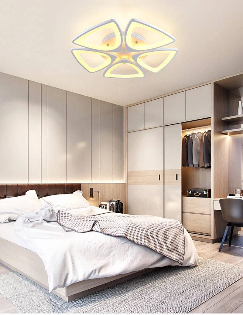 ceiling light (18)