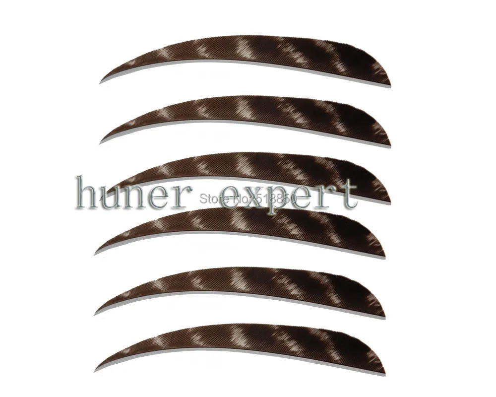 

hunter expert 4" parabolic Shape Natural Feathers Archery Arrow Fletch Fletching Left Wing 100pcs free shiping