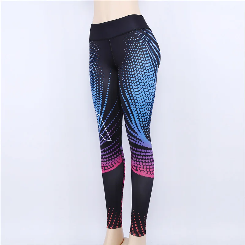 5506051676_1153469267
