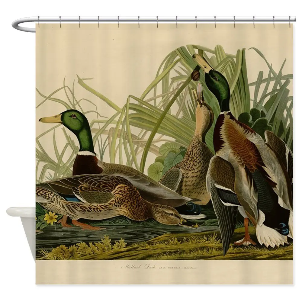Mallard Duck Audubon Bird Vintage Print Shower Curtain Mat