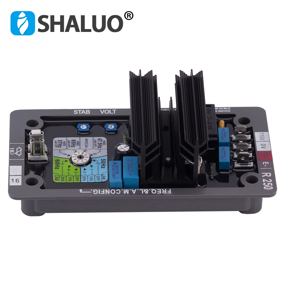 R250 AVR (7)