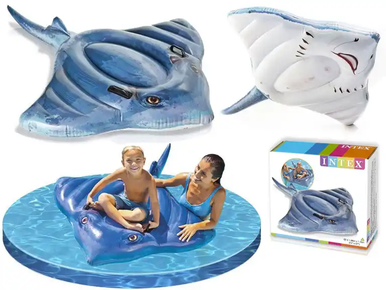 stingray pool float