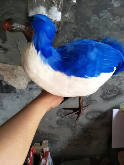 34