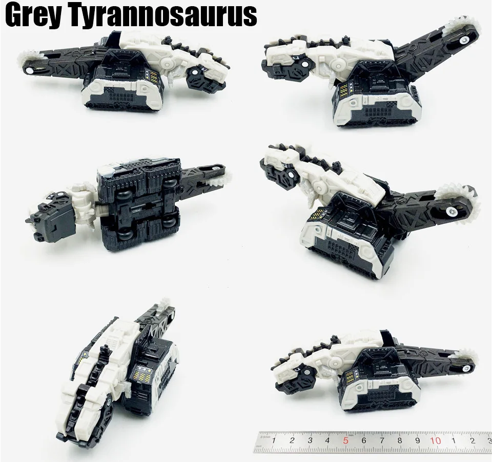 grey Tyrannosaurus 02