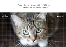 HTB1fJCiXiHrK1Rjy0Flq6AsaFXa0