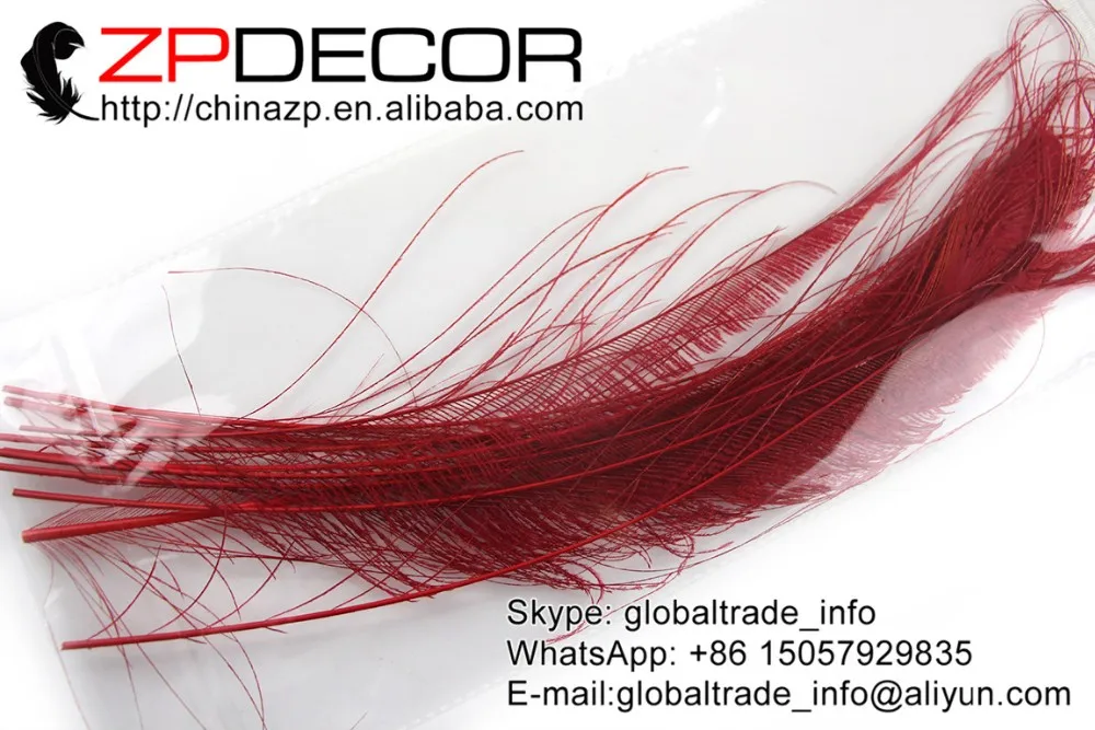 Red peacock swords feathers  (2)