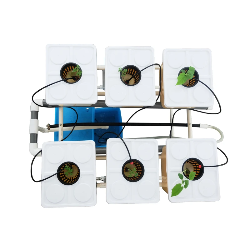 Гидропоника aquaponics помидоры выращивают голландский ковш выращивая