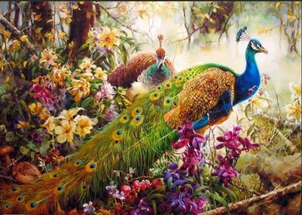

MaHuaf-Z026 peacock in forest drawing by numbers 40x50cm Framed Acrylic digital wall picture for living room