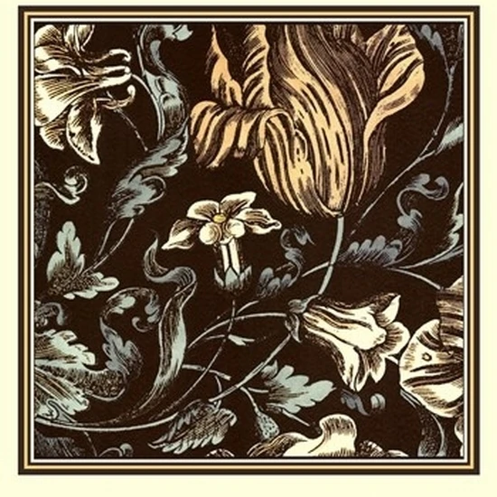 Fanciful Floral IV Poster Print by Vision studio (13 x 19)