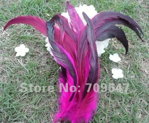 

Pink Feathers! Feather Decoration 50pcs/lot !12-14" 30-35cm Fuchsia/Hot Pink/Rose colors Half Bronze ROOSTER COQUE TAIL FEATHERS