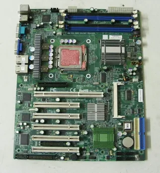 

PDSMA+