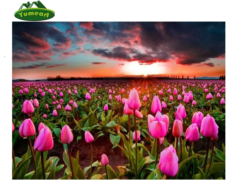 Diy 3d Full Diamond Painting Cross Stitch Tulip Garden Picture Diamond Embroidery Scenery Rhinestone Needlework Diamond Mosaic Diamond Mosaic Painting Cross Stitchdiamond Painting Cross Stitch Aliexpress Diy 3d Full Diamond Painting Cross Stitch Tulip Garden Picture Diamond Embroidery Scenery Rhinestone Needlework Diamond Mosaic Diamond Mosaic Painting Cross Stitchdiamond Painting Cross Stitch Aliexpress
