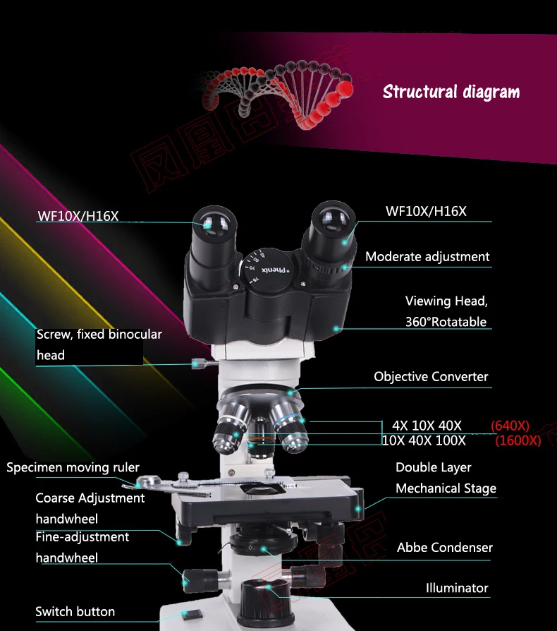 XSP-36 
