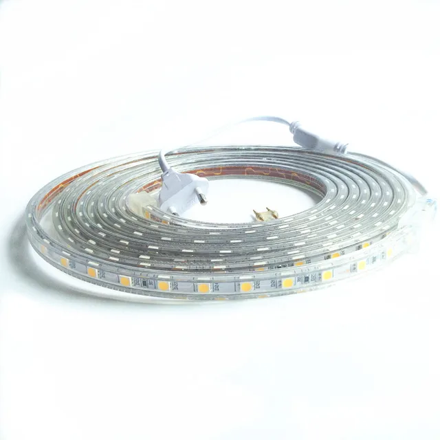 AC 220V led strip light SMD5050 60leds/M IP67 Waterproof Led flexible