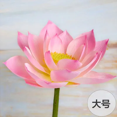 95 см длина 23 см диаметр искусственный цветок, лотос с длинным стеблем поддельные Лотос Шелковый цветок виски Декор diy цветочная композиция - Цвет: pink