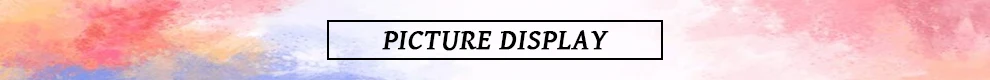 标题-PICTURE DISPLAY