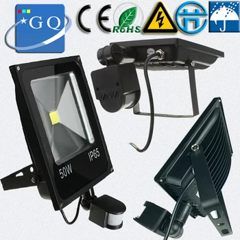 

10W 20w 30w 50w 70w 100w led flood light AC220V DC12V black shell floodlights PIR Motion sensor Induction Sense lamp