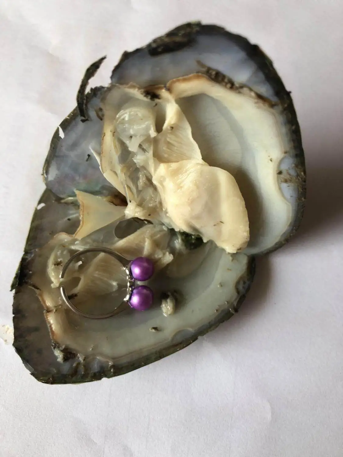 

Fortune Oysters Sterling Sliver Pearls Ring /Earrings/Pendant inside oysters Round Pearl Silver Jewelry Freshwater Oysters FP479