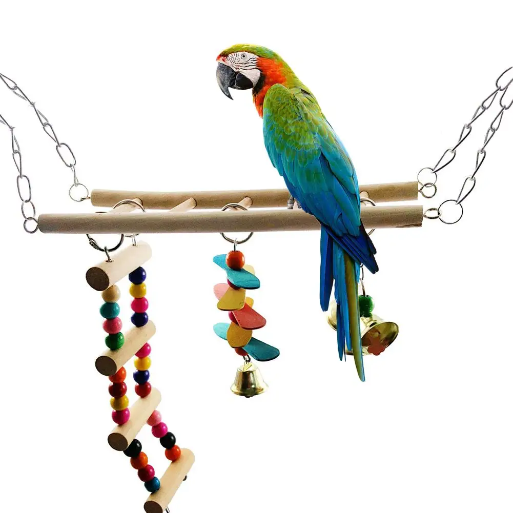 Hanging Bird Cage Swing Pics