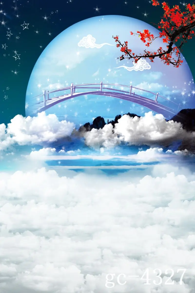 

3*5M Art Cloth Custom Photography Backdrops Prop Indoor theme Studio Background GC-4327