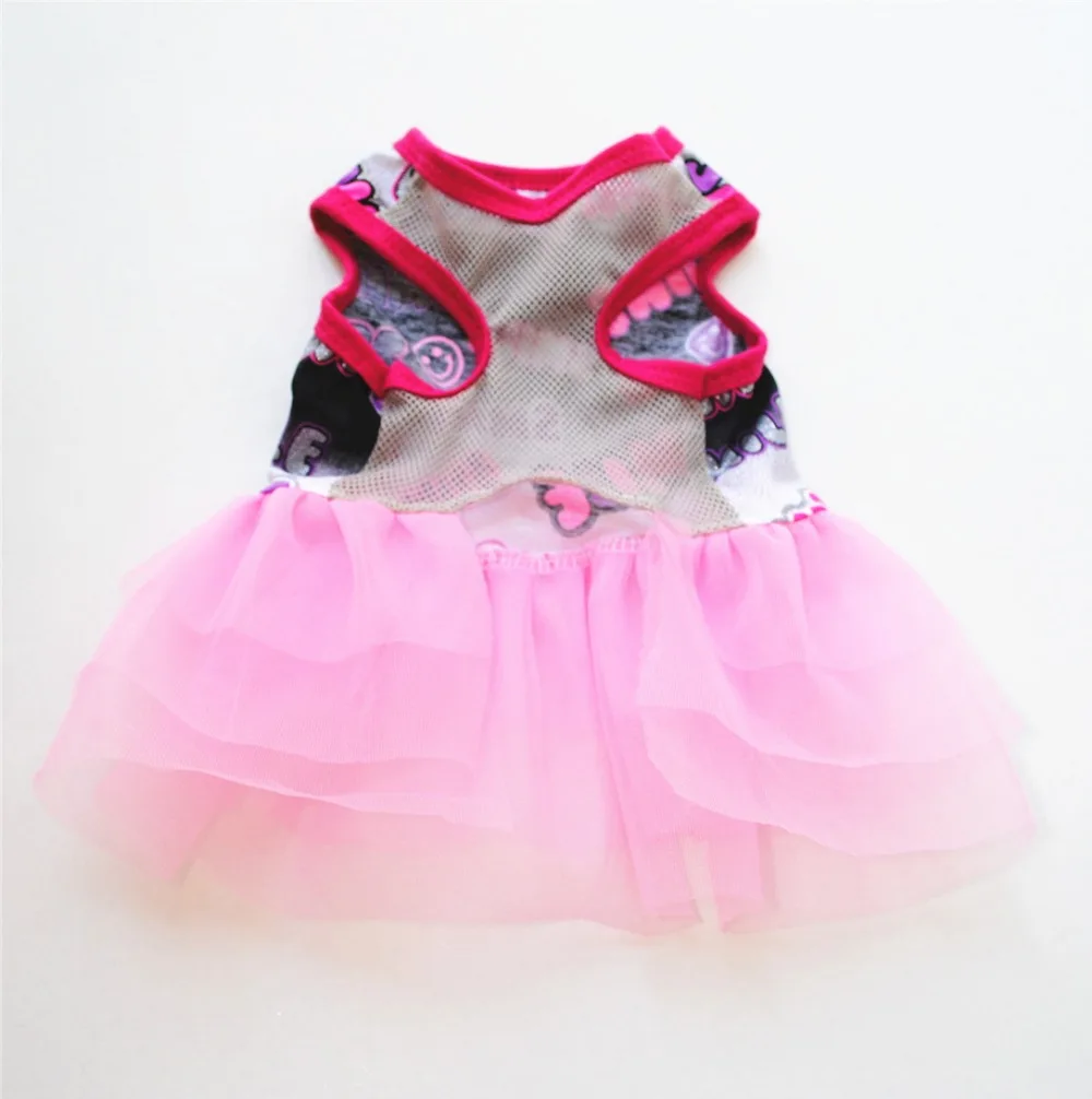 10858408600_361259826