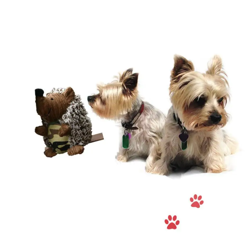 YCY70919109_2017092009304055