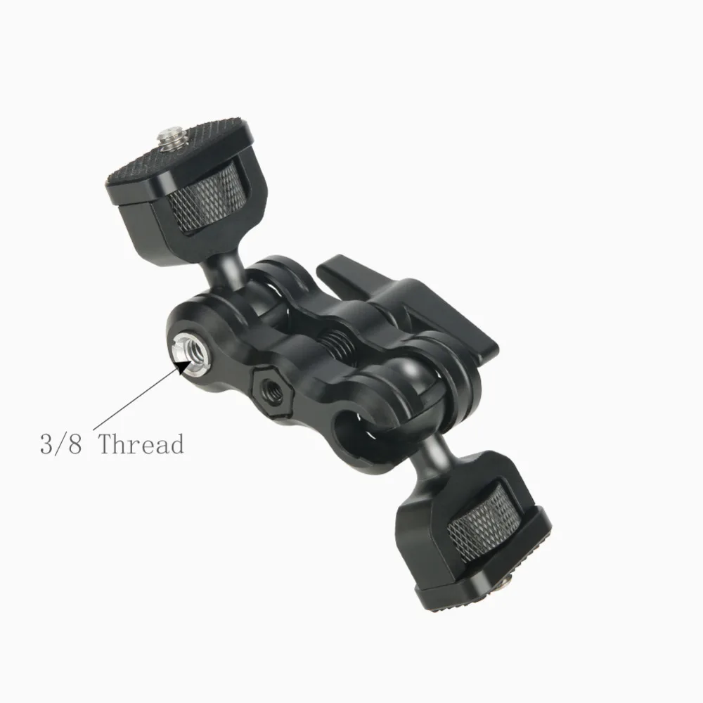 T31B0018
