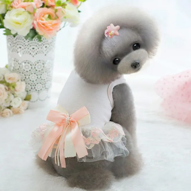 Cute embroidery dog puppy Princess dress small dog cat pet luxury bow lace wedding dress tutu