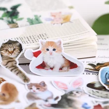 21 шт. корейский милый кот наклейки мобильный телефон сделай сам фотоальбом водонепроницаемый прозрачный прекрасный декоративный материал вокруг Мяу