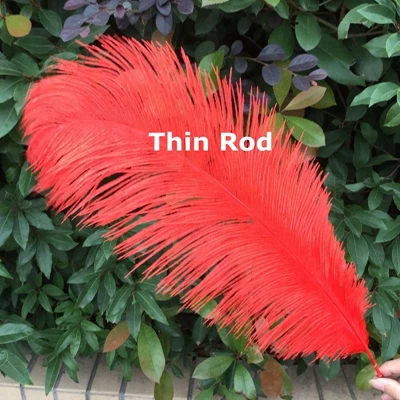 Новые 12 шт красивые натуральные красные страусиные перья оптом от 50 до 55 см/от 20 до 22 дюймов перьев - Цвет: thin rod