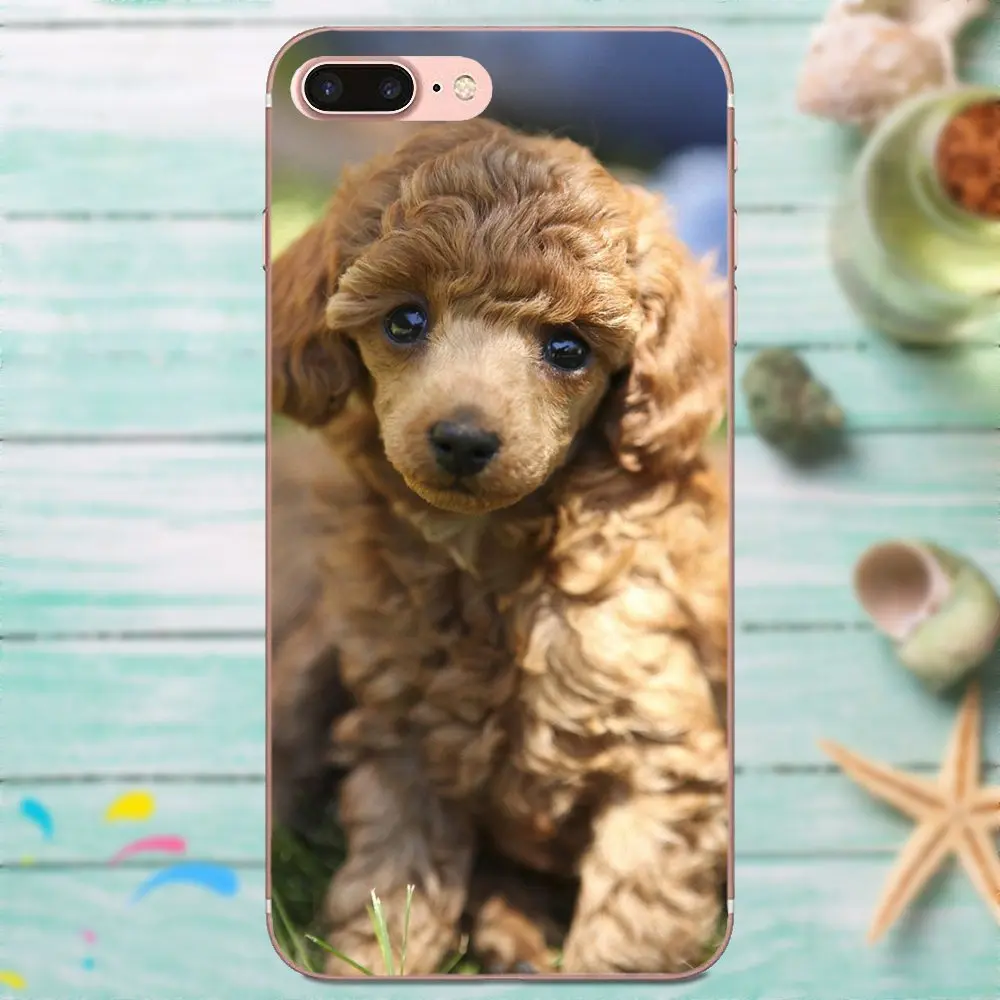 Чехол из ТПУ для Huawei P8 P9 P10 P20 P30 Mate 7 8 9 10 20 Lite Plus Pro 2017 Игрушка Пудель Собака