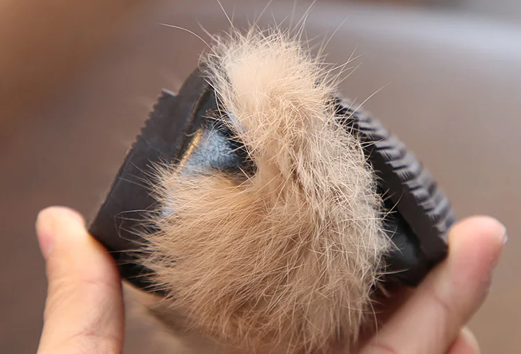 DP4A0563