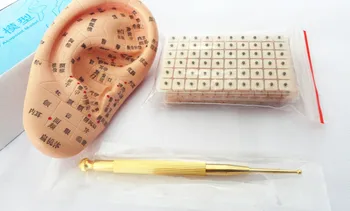 

free shipping 13cm ear press seed Auricular Vaccaria seed with ear probe ear model acupuncture needle ear bead slimming body