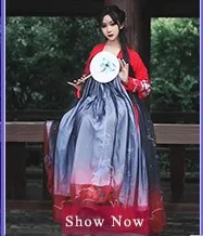 hanfu_03