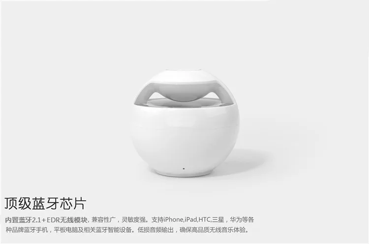 2437266097_1633068230